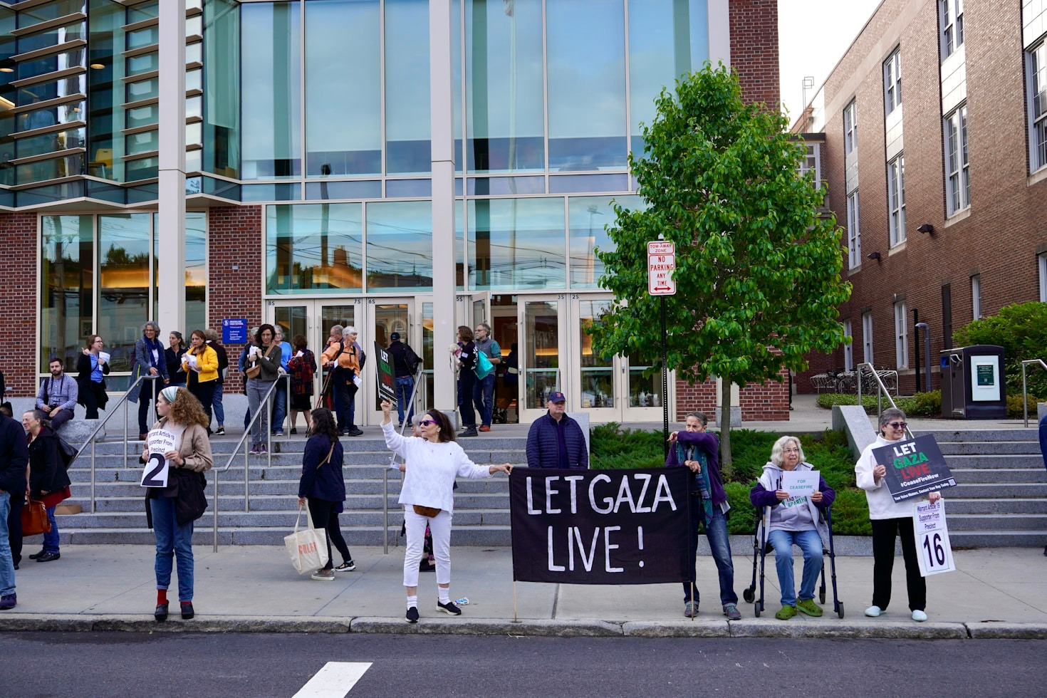 Peaceful Protests: A Guide for Effective Change