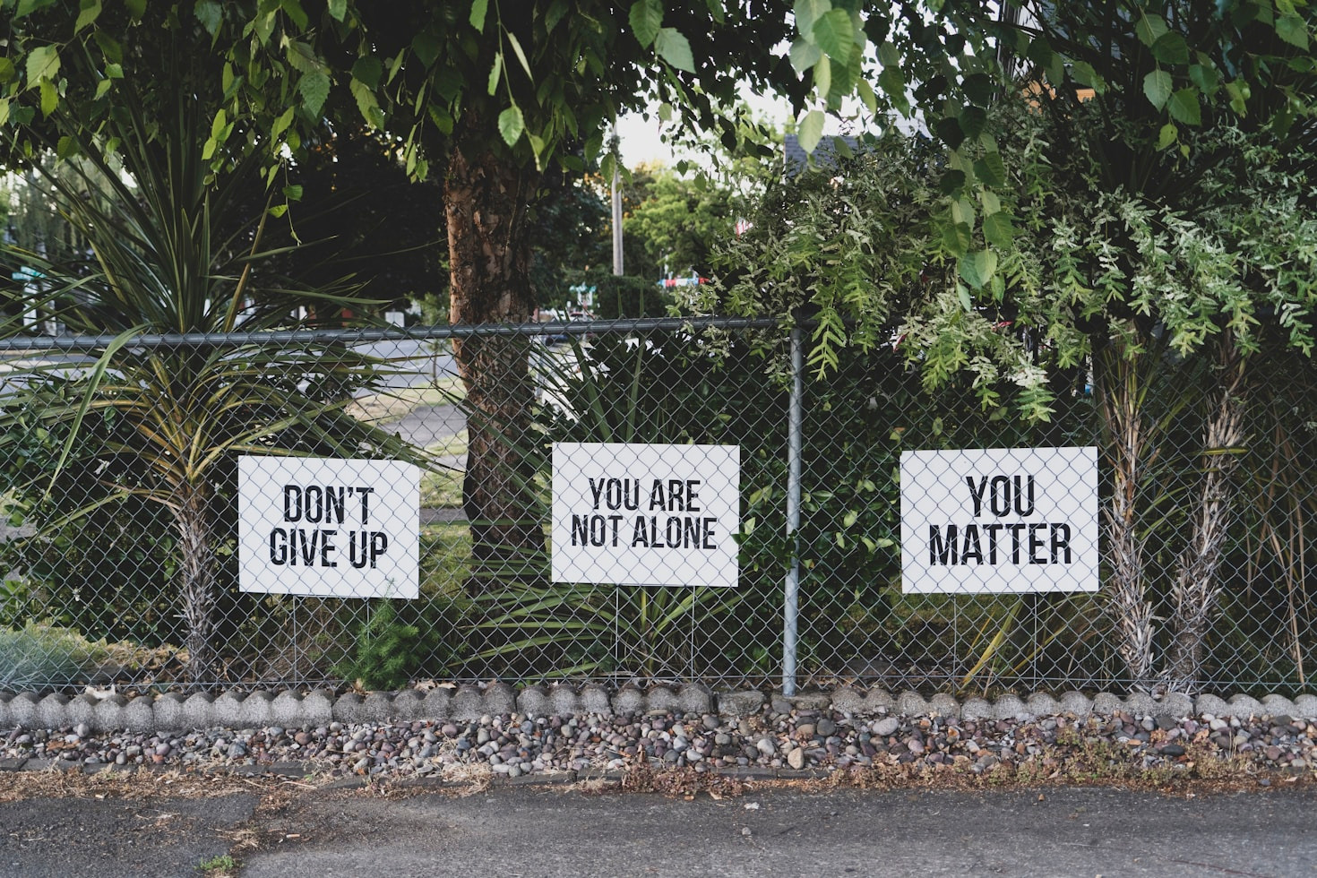 Voices from Ventura: Stories of Resistance and Unity